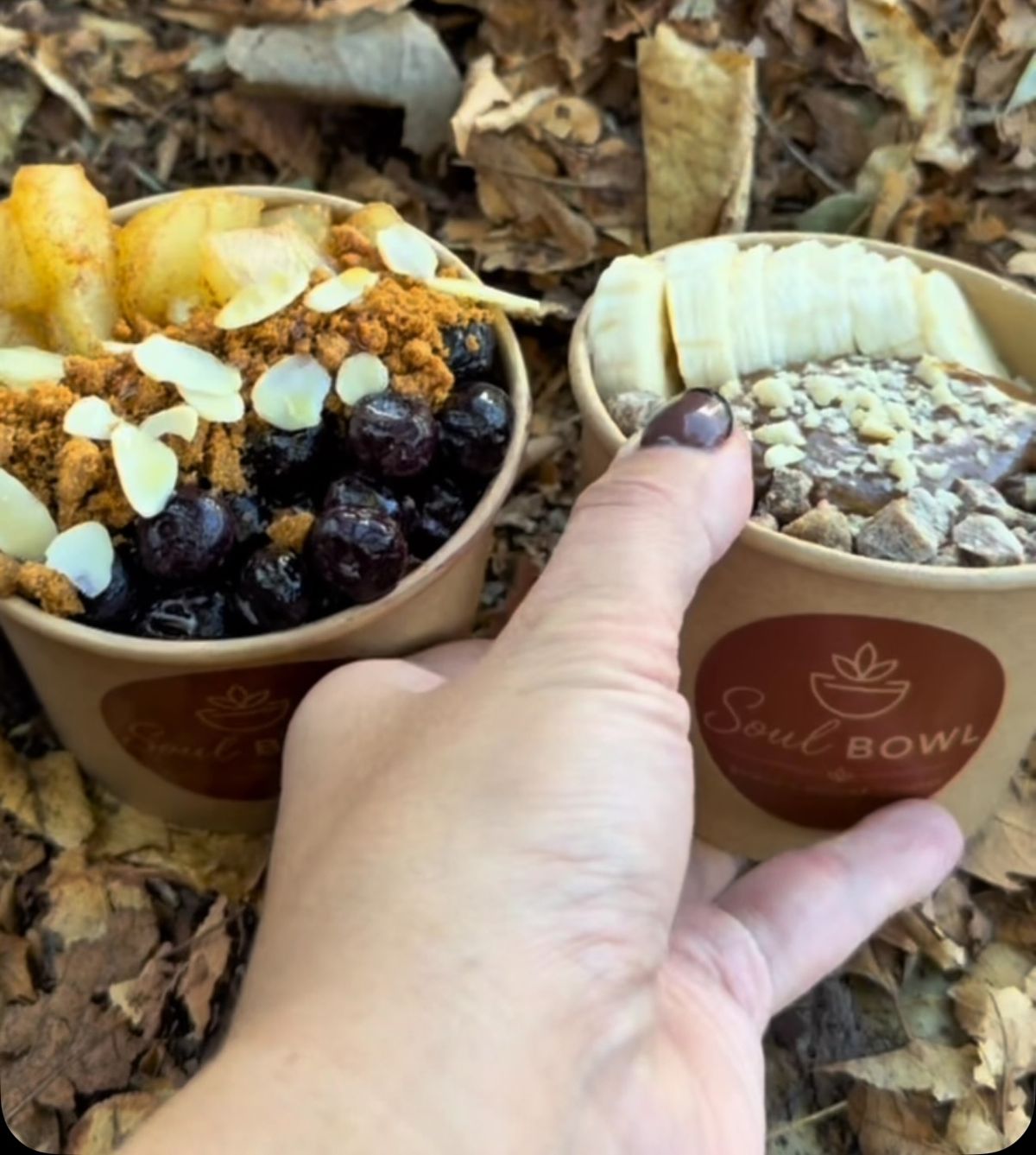 Açai and porridge bowls topped with fruit