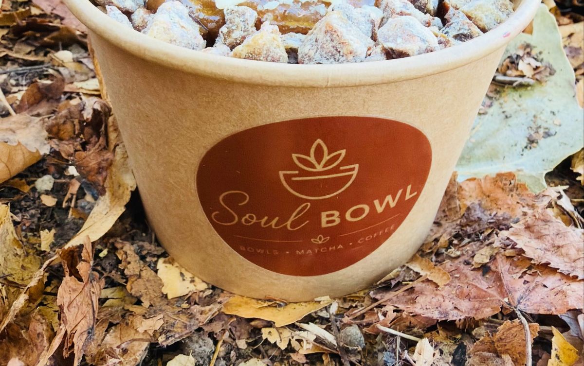 A fresh Soul Bowl porridge bowl topped with fruit